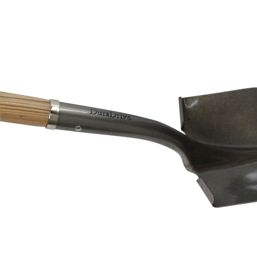 DuraDrive 40 in. Ash Wood D-Handle Round Point Shovel