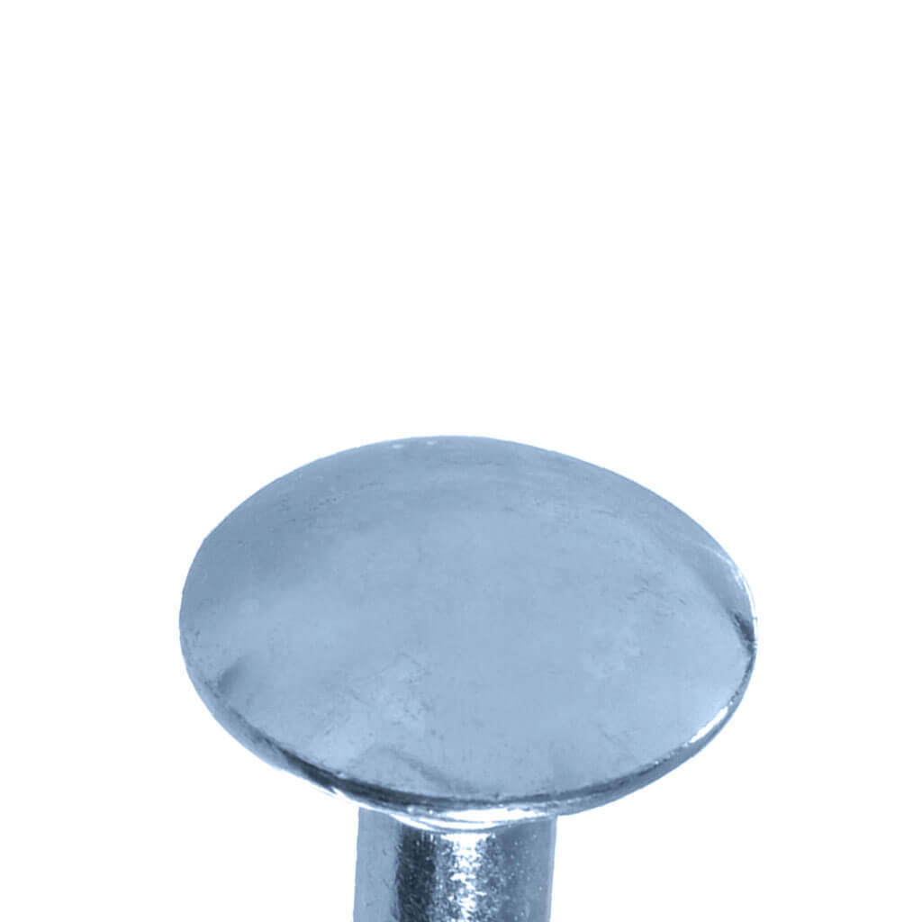 1/2 in. x 8 in. Zinc Plated Carriage Bolt (80-Pack)