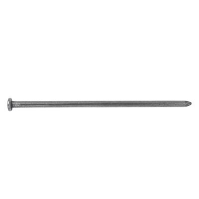 DuraDrive 12 in. Bright Finish Thin Smooth Shank Common Nails (50 lb. per Box)