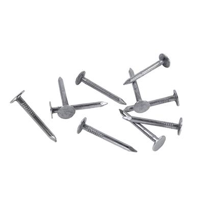 DuraDrive 2 in. Electro Galvanized Steel Coated Smooth Shank Roofing Nails (50 lb. per Box)