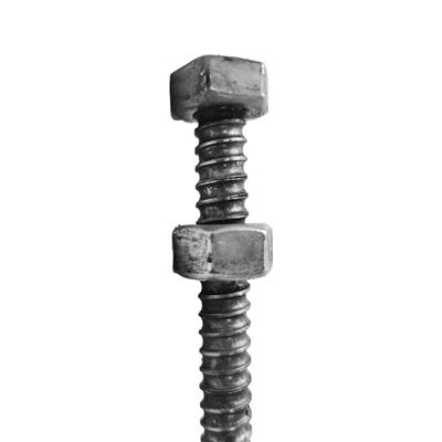 SureBuilt SBCRB1224WN 1/2 In. X 24 In. Adjustable Coil Bolt with Running Nut (25-Pack)