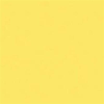 DuraDrive 16 oz. Yellow Inverted Marking Spray Paint