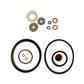 Chapin 6-4627 Seal and Gasket Kit Replacement for Concrete Sprayer (15-Piece)