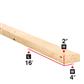 2 in. x 4 in. x 16 ft. Spruce Lumber