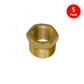 DuraDrive P455 3/8 in. Male x 1/4 in. Female Brass Pipe Bushing Coupler Air Hose Fitting (5-Pack)