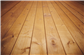 Okolux - 2 in. x 6 in. x 8 ft. Treated Lumber